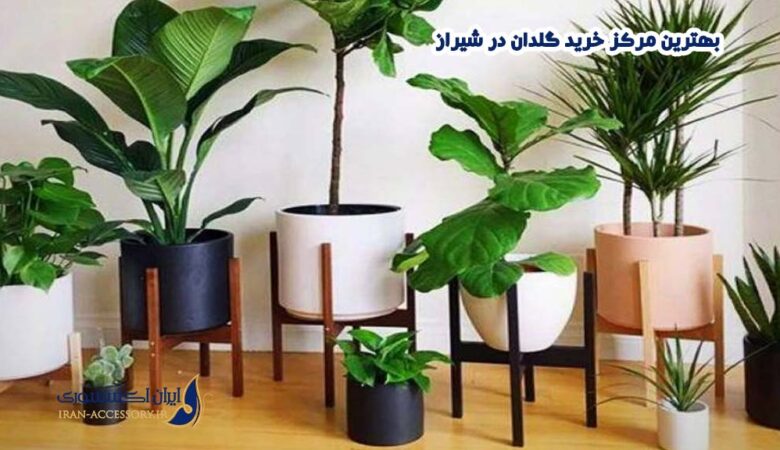 مرکز خرید گلدان در شیراز